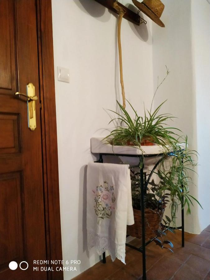 게레나 Casa Museo Quintin 빌라 외부 사진
